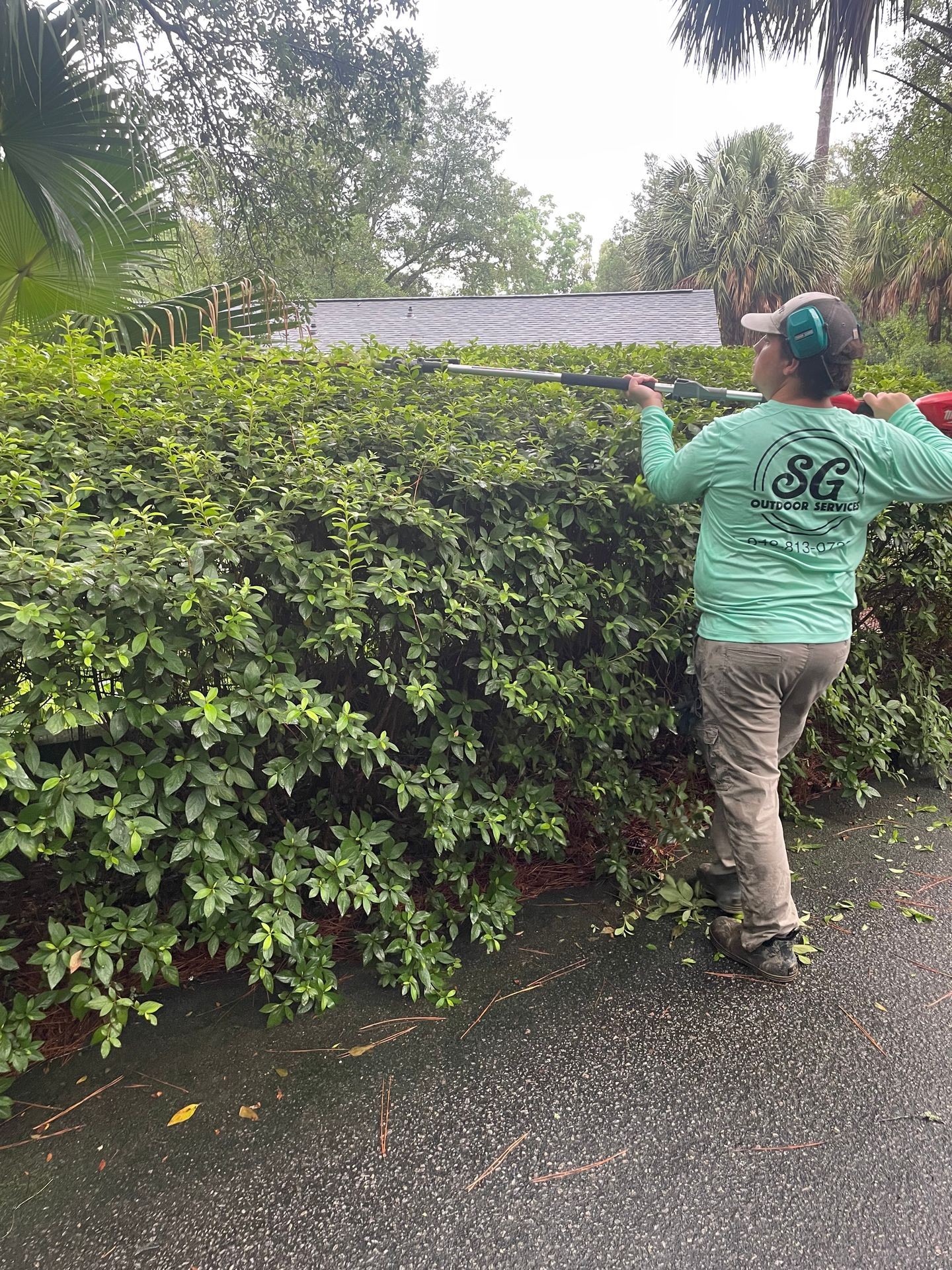 Bush trimming and pruning 