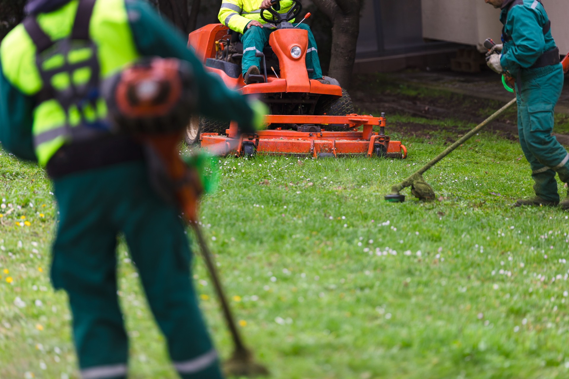 Landscapers working with lawn equipment