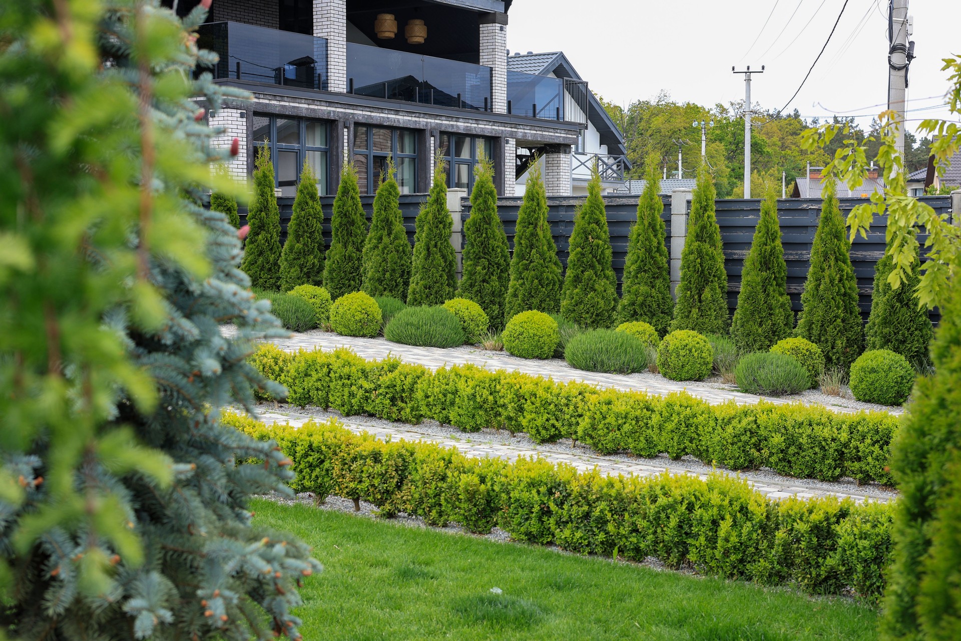 Landscape design of the local area